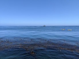 Monterey Bay Kayaking